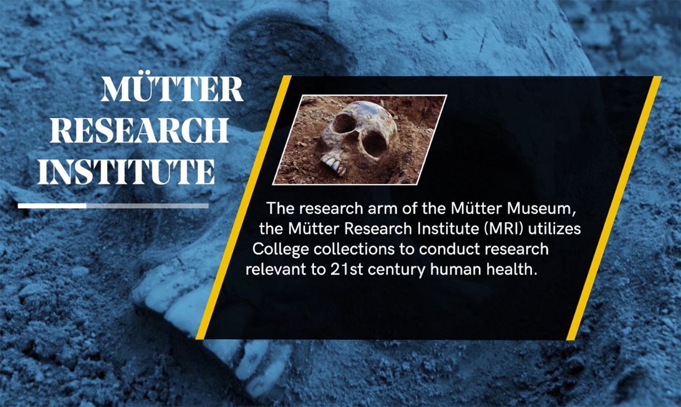 An image of the phrase "Mutter research institute" with a skull in the background.