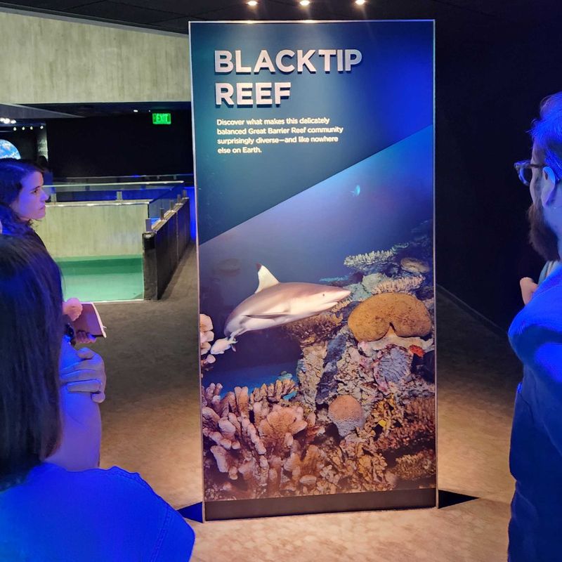 A man looking at an aquarium sign.