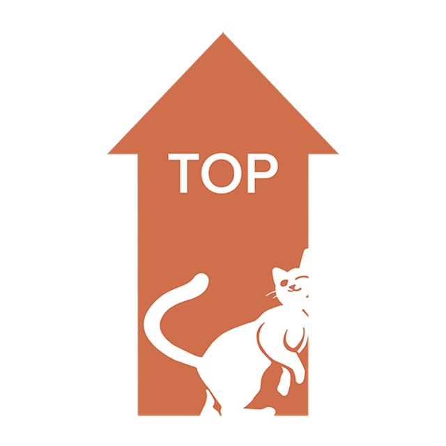 Back To Top