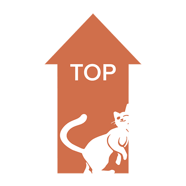 Back To Top